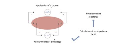 Bioimpedance – Bioparhom