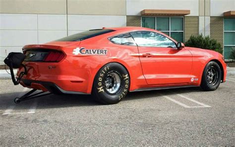 A Peek at the S550 Mustang Cobra Jet - MustangForums