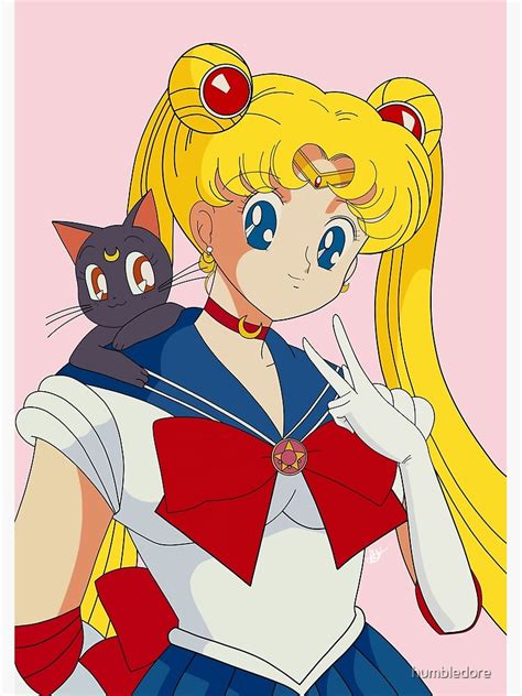 Sailor Moon Posters - Sailor Moon With Luna Poster RB2008 - ®Sailor ...