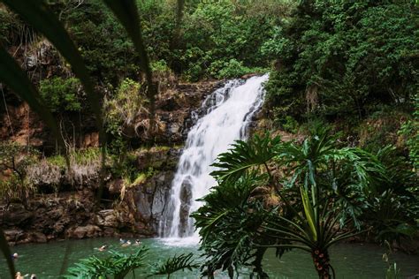 Waimea Valley & Waterfall - LAURALOHA TRAVEL