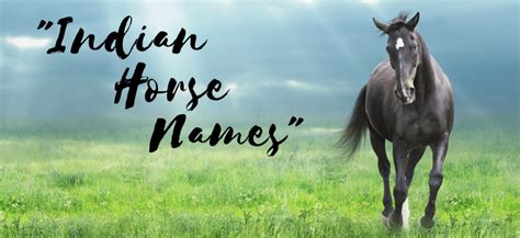 Indian Horse Names - Good Name