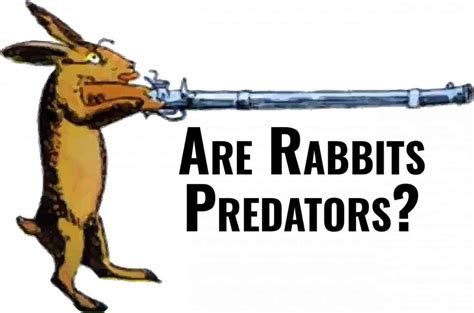 Do Rabbits Hunt? Are Rabbits Predators?