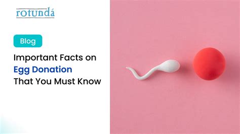 Important Facts on Egg Donation That You Must Know | by ...