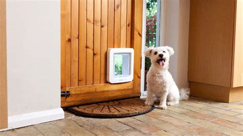 The Best Smart Dog Doors That You'll Love | All Home Robotics