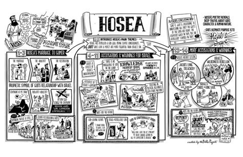 The Bible Project: The Book of Hosea Poster Bible Study Tools, Bible ...