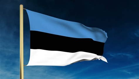 National Flag of Estonia | Estonia National Flag History, Meaning and ...