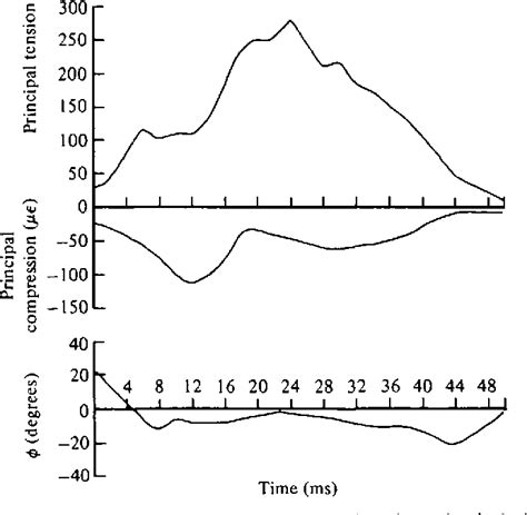 Figure 3 from FUNCTIONAL ANATOMY OF FEEDING IN THE BLUEGILL SUNFISH ...