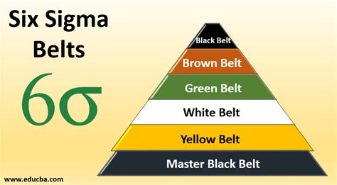 Six Sigma Belts - Quick Glance on the Six Sigma Belts Level