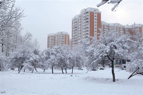 Snow hits transport in Germany's coldest February in almost a decade ...