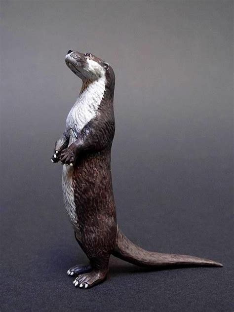 Japanese River Otter (Kaiyodo - CapsuleQ Museum Animatales) | Pet toys ...