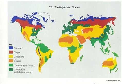 Ecosystems Of The World Map - Zip Code Map Las Vegas