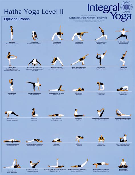 Hatha Yoga Poses Beginners - Work Out Picture Media - Work Out Picture ...