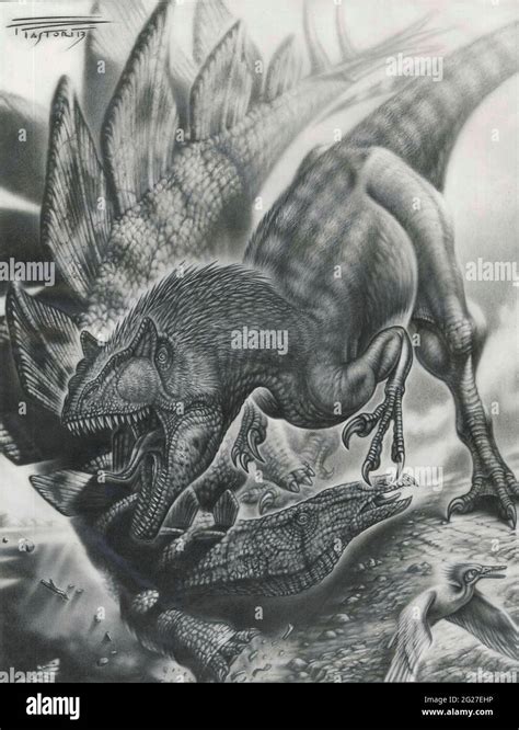 Allosaurus vs. Stegosaurus, graphite Stock Photo - Alamy