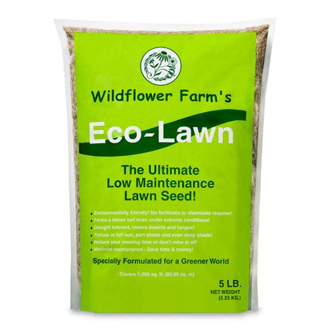 Wildflower Farm's Eco-Lawn Grass Seed - 5 lb | Eartheasy.com