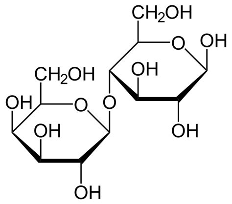 Lab 2e - Structure & Properties of Carbohydrates - Garrett Hoefer