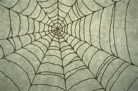 Spider Web Drawing Digital Art by Barbara Chase - Fine Art America