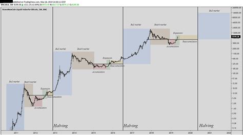 Raymond Love Buzz: Bitcoin Halving Bullrun