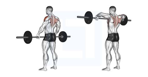 Barbell Wide Grip Upright Row - Guide, Benefits, and Form