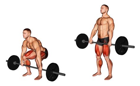 Squat vs Deadlift: 6 Major Differences Explained - Inspire US