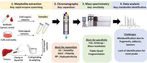 Metabolomics - Services | Rutgers Cancer Institute of New Jersey