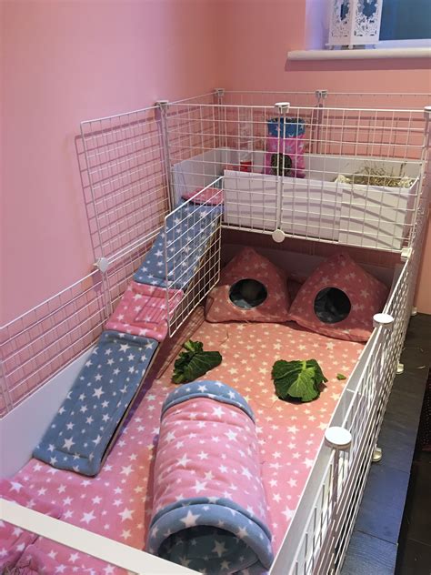 Fleece C&C Guinea Pig cage set up | Diy guinea pig cage, Guinea pig ...