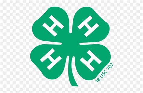 Indiana 4h Program - 4 H Clover Vector Clipart (#3414358) - PinClipart