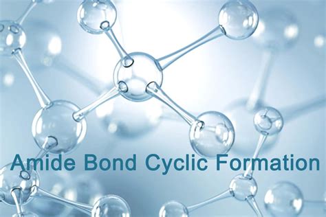 Amide Bond Formation in Cyclization - Amide Bond Cyclization - QYAOBIO