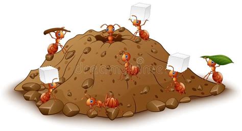 Colony Of Ants Clipart Free