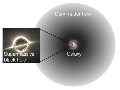 The connection between supermassive black holes and dark matter halos ...