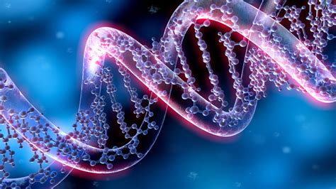 Genetics 101: Intro to Genetics Course - Online Video Lessons | Study.com