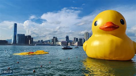 In Pictures: Hong Kong’s heat leaves giant rubber duck flying solo ...