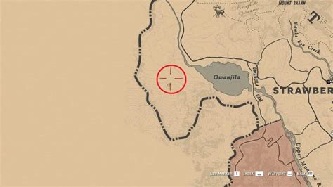 Red Dead Redemption 2 Wild Horse Breeds Locations Guide - RDR2.org