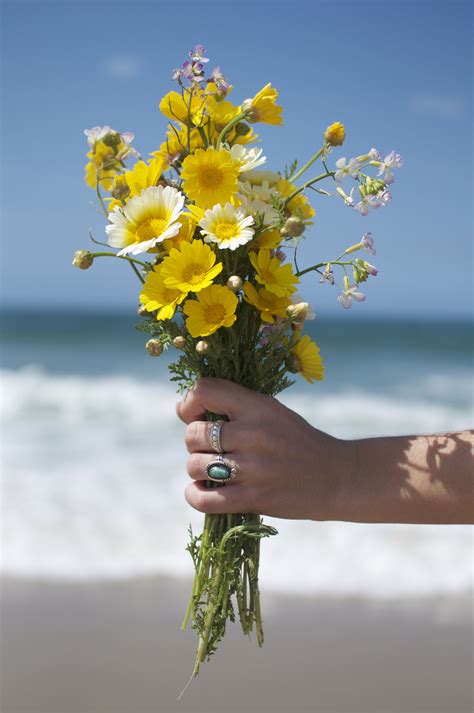 Beautiful Flowers on the Beach