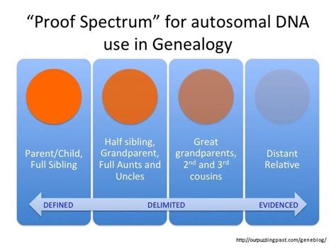 Proof Spectrum of Autosomal DNA Use - when is a DNA match, really a ...