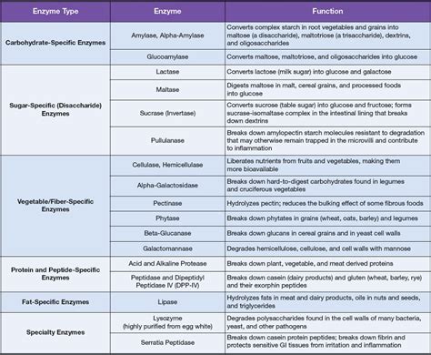 Gastric Secretions and Enzymes - All about anatomy & physiology