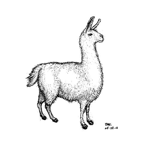 Ilustración Vectorial De Lindo Personaje De América Del Sur Lama Con ...