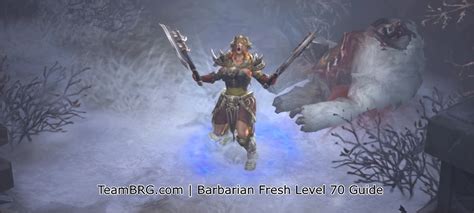 Best barbarian armor diablo 3 - metrofoo