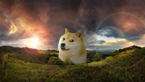 76 Doge Meme Wallpapers on WallpaperPlay | Japanese dogs, Doge meme, Doge