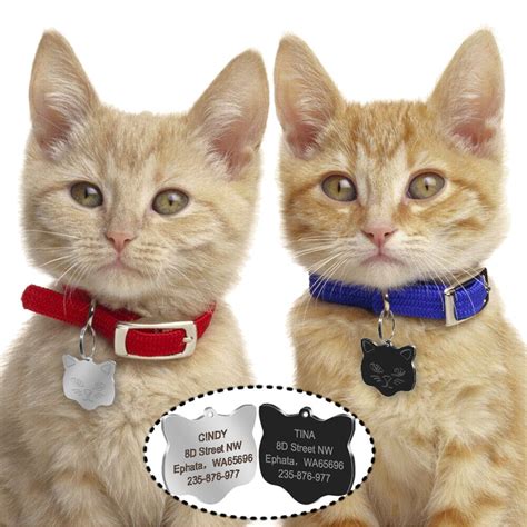 Engraved Pet Cat Tags Personalised ID Name Collar Tags & Bell for ...