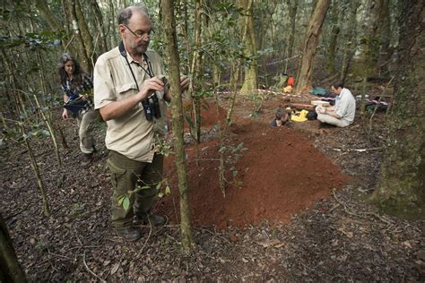 How Google Earth led a team of scientists to discover a rainforest on ...