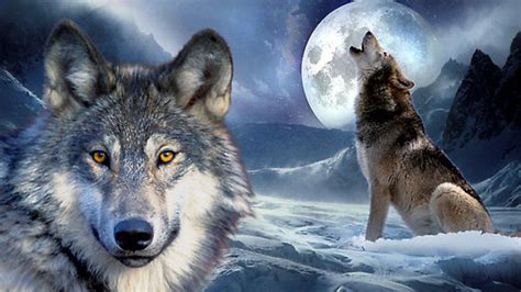 Wolf Howling Wallpapers - Wallpaper Cave