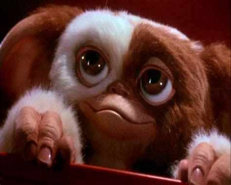 Gizmo! | Gizmos | Pinterest | Gremlins, 80s movies and Movie