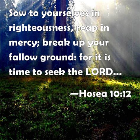 Hosea 10:12 Sow to yourselves in righteousness, reap in mercy; break up ...