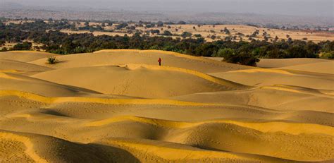 The Destructive ‘Greening’ of the Thar Desert – The Wire Science