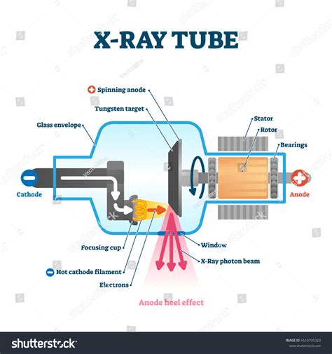 Goneryl Seitwärts Eifer x ray tube diagram Materialismus Verschwörung Gurke