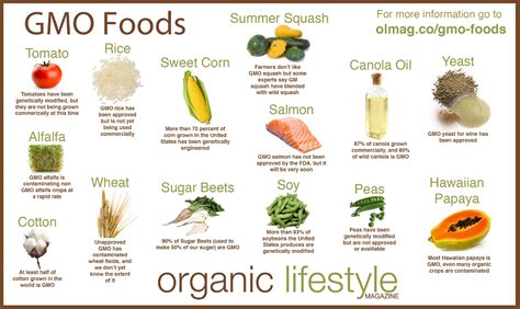 Week 5 (02.11 - 08.11) GMO Foods- Pros and Cons