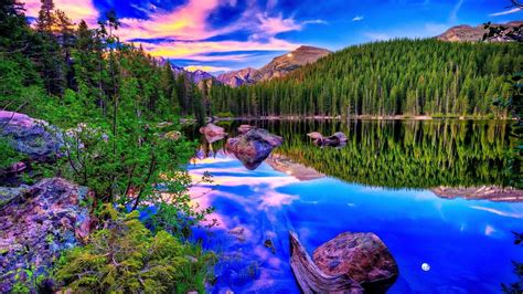 Stones On Calm Body Of Water With Reflection Of Trees Forest Landscape ...