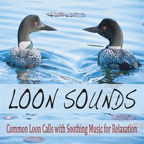 Loon Sounds: Common Loon Calls With Soothing Music for Relaxation by ...