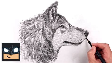 How To Draw a Wolf for Beginners | Sketch Art Lesson (Step by Step ...