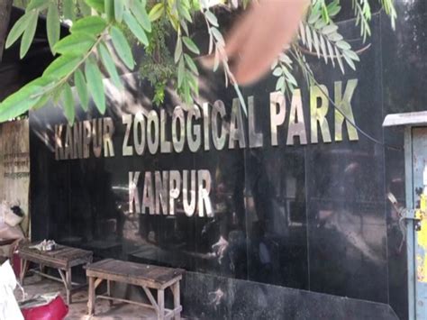 Bird flu: Kanpur zoo closed until further orders - Dynamite News